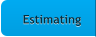 Estimating Estimating