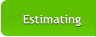 Estimating Estimating