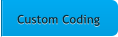 Custom Coding Custom Coding