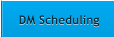DM Scheduling DM Scheduling